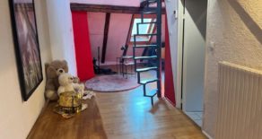 2 Pièces de 52 m² à Strasbourg – Quartier Centre-ville – Cathédrale